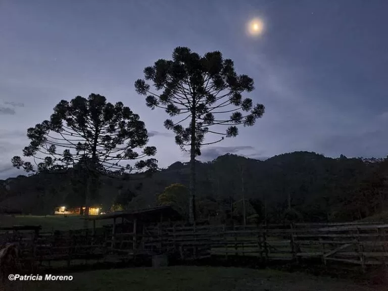 cavalgadas ecologicas Geral CelPat e SonyPat 1