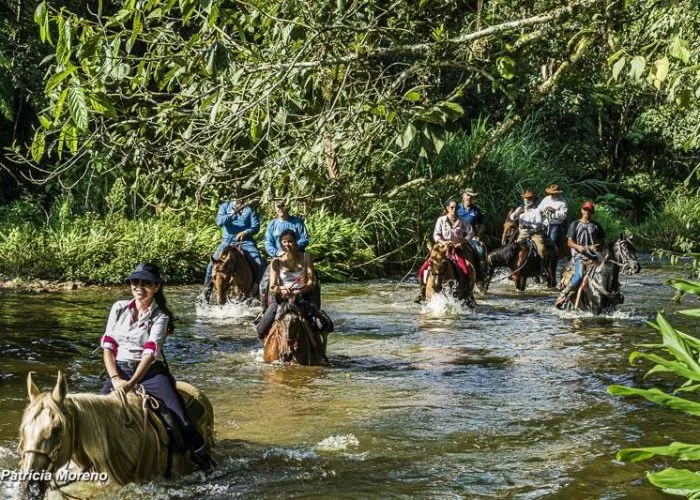 cavalgadas-ecologicas-Geral CelPat e SonyPat (67)